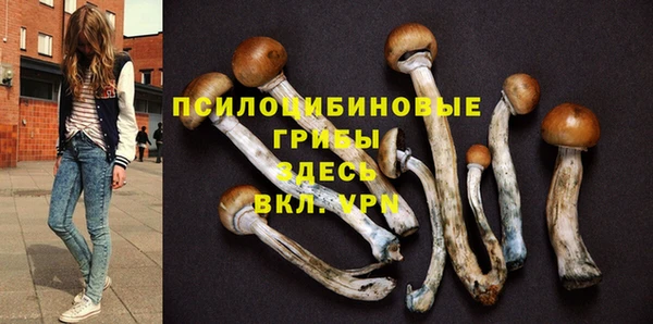 2c-b Алзамай