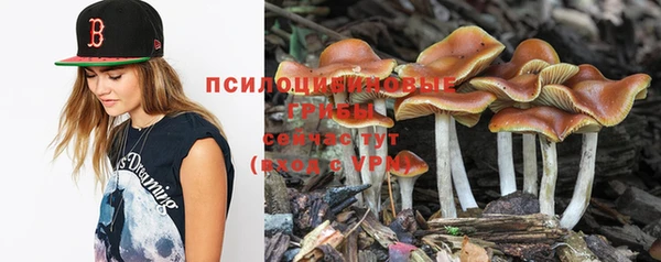 не бодяженный Абдулино