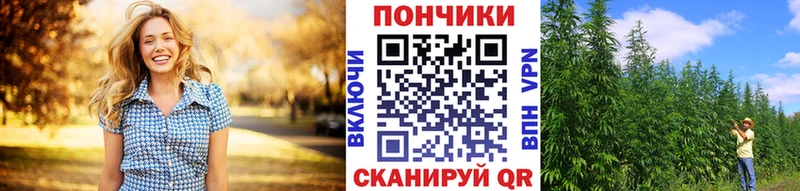 Конопля Amnesia даркнет Telegram Суджа